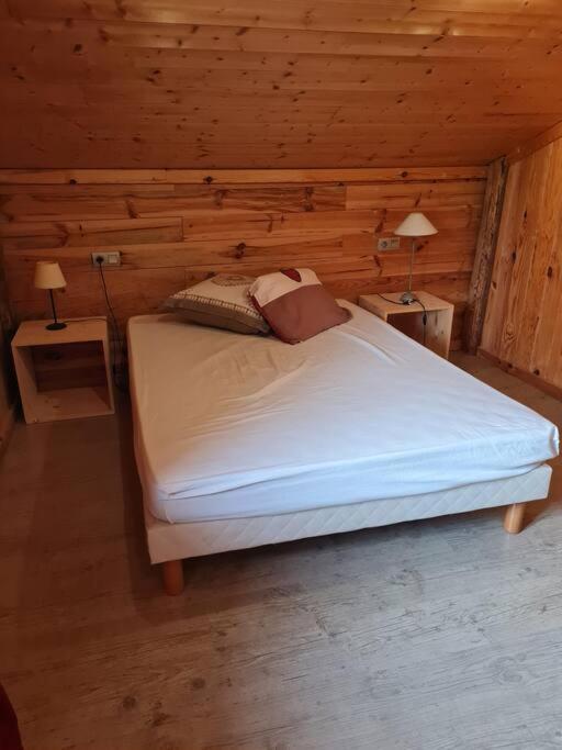 Chalet Familial - Pyrenees, Au Coeur Des 3 Stations La Cabanasse ภายนอก รูปภาพ